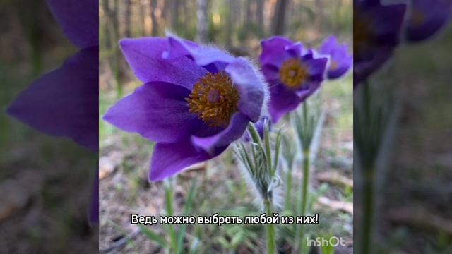 Благодарю за возможность самостоятельно писать свой жизненный сценарий!