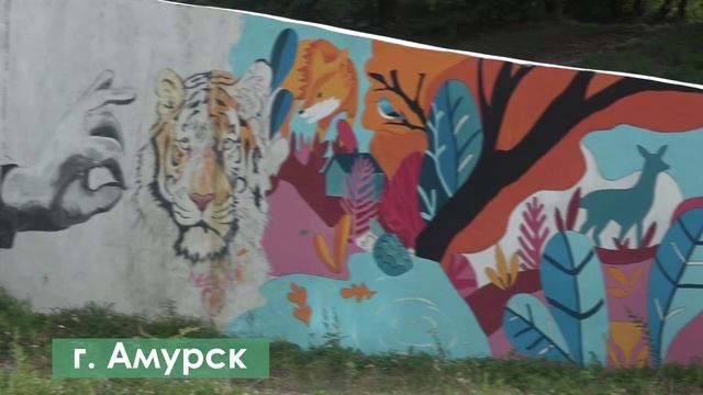 Амурск сегодня смотреть онлайн