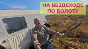 Катаюсь на Болотоходе по Болоту Клюквы собрал между делом