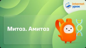 Биология 10 класс. Митоз. Амитоз