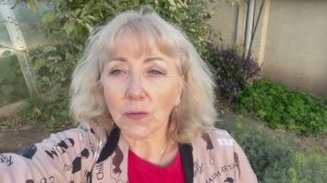 Если коротко, то чем я сегодня занималась!