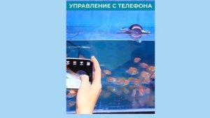 Подводная лодка на пульте управления с подводной видеокамерой TrendToys  ZTN011