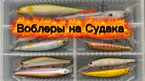 Воблеры на судака. Мнение.