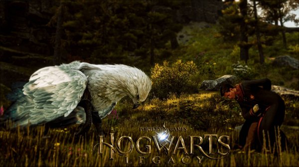 Hogwarts Legacy ➤ Прохождение - Часть 7: ИЗУЧЕНИЕ ТВАРЕЙ