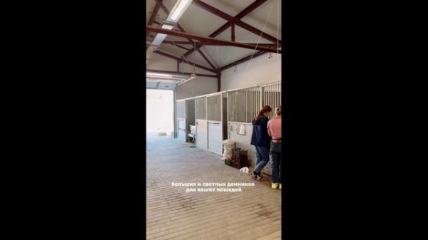 Знакомьтесь, MAXIMA VET!