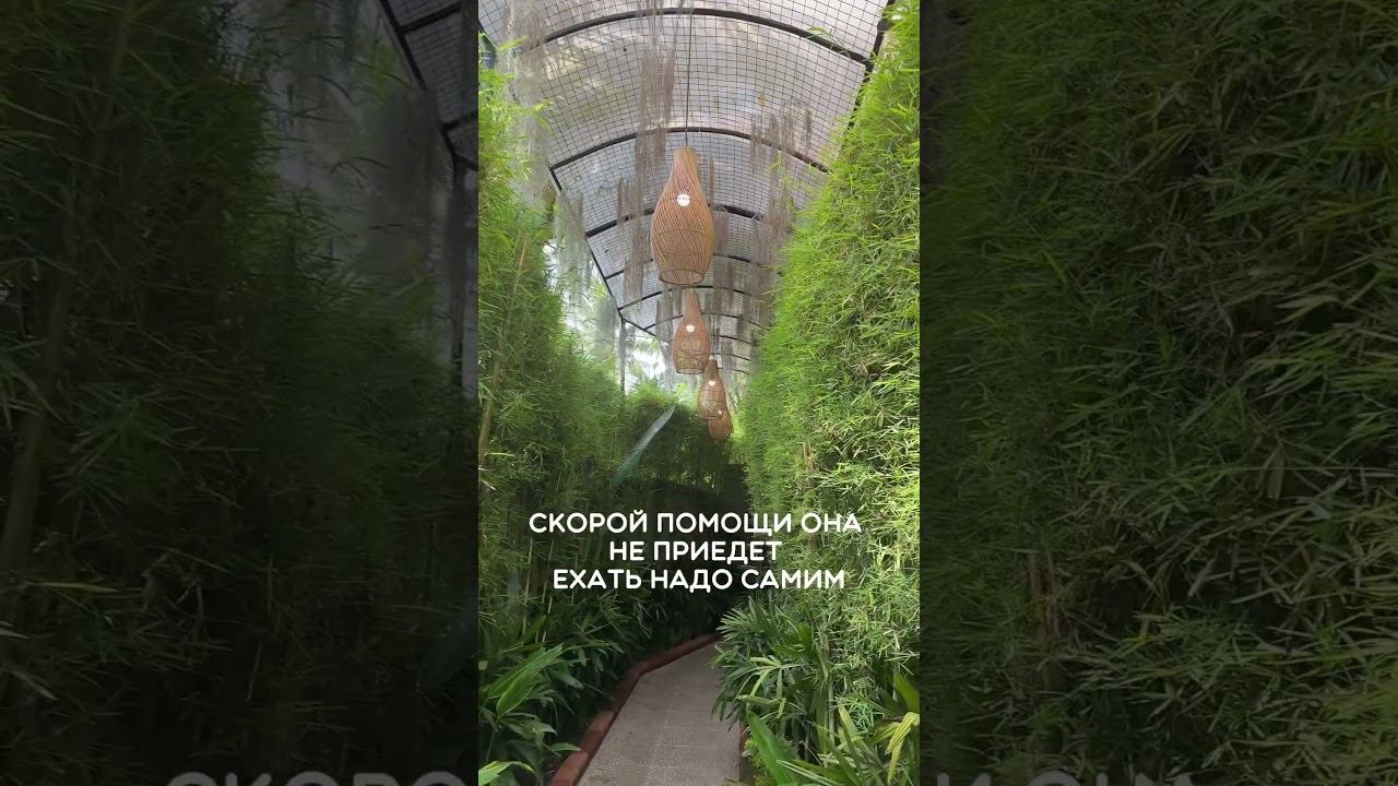 Бали часть2 МИНУСЫ #short #shorts #психология #shortvideo #саморазвитие #интервью #деньги #бизнес