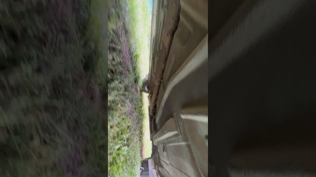 IMG_2442 смотреть онлайн