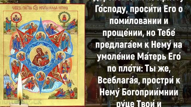 Молитва пред иконою Божией Матери «Неопалимая Купина» смотреть онлайн