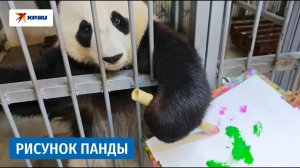 Панда Катюша нарисовала картину