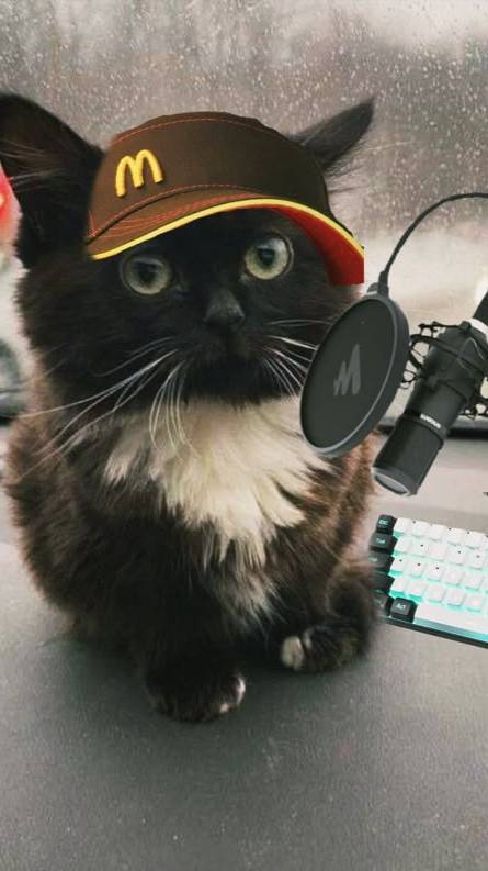 ПРОШИЛ ЭЛЕКТРОСАМОКАТ KUGOO C1  НУЖЕН ТУТОР КАК?