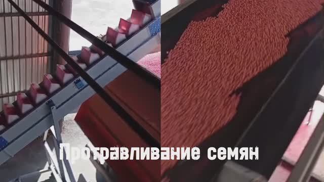 Услуга протравливания семян с выездом в хозяйство (барабанный тип, без шнеков)