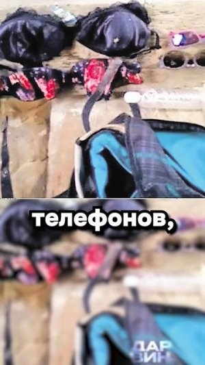 Кажется собака оказалась умнее