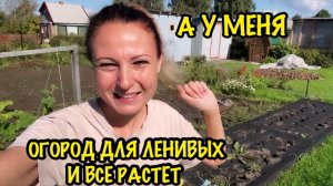 ДАЧНЫЙ ВЛОГ/ДАЧА БЕЗ ХЛОПОТ/ОСЕННЯЯ УБОРКА ОГОРОДА/БЮДЖЕТНОЕ ПРЕОБРАЖЕНИЕ/ДАЧНОГО УЧАСТКА