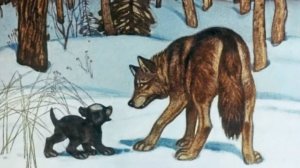 Чехов.Белолобый.