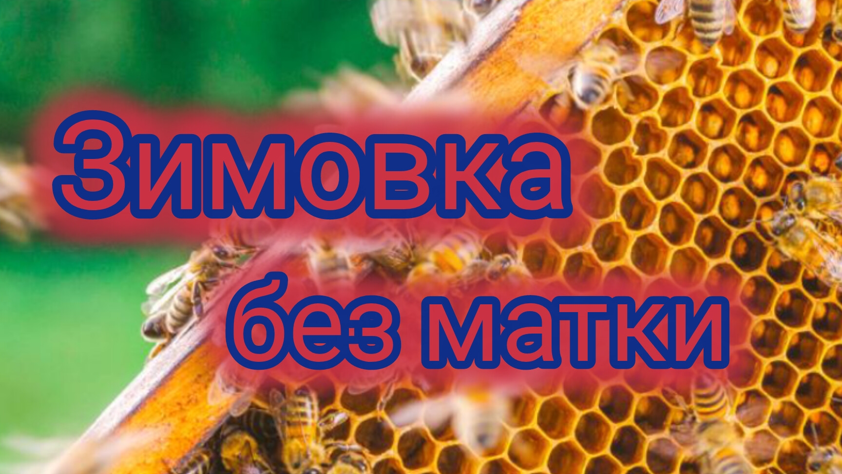 Зимовка без матки смотреть онлайн