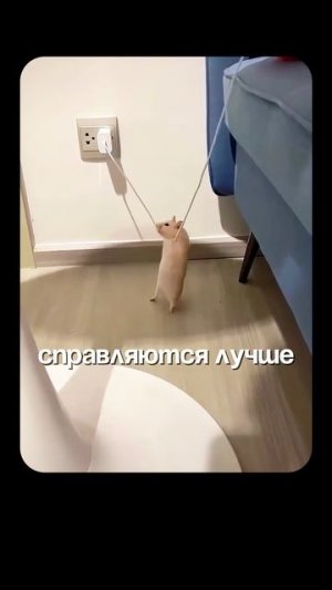 Возможно ли создать Сверхчеловека? | Глеб Соломин, Никитин