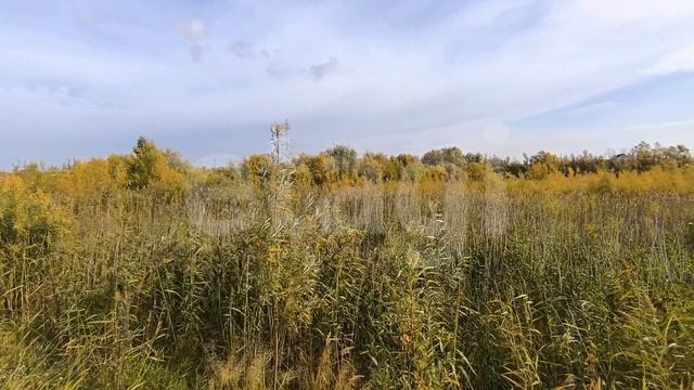 9823642 ТСН Крым смотреть онлайн