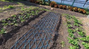 Им "Чё - нибудь", а мне - придумывай....