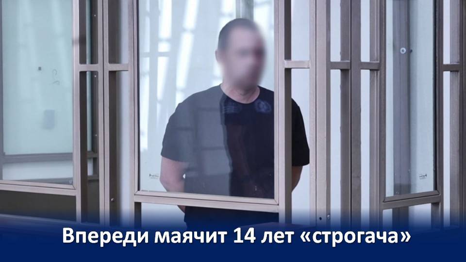 ГОСИЗМЕННИК ПОЛУЧИЛ 14 ЛЕТ "СТРОГАЧА" смотреть онлайн