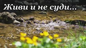 Тише, тише Не судите, это грех || Песня под гитару || Живи и не суди