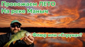 Что лучше Флюр или Струна? / Закрываем летний рыболовный сезон на реке Маныч /Поймали редкого окуня