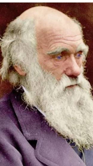 Теория эволюции Дарвина опровергнута или нет? Почему Дарвин сам признал опровержение совей теории. смотреть онлайн