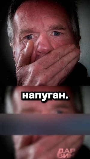 Карусель, карусель...