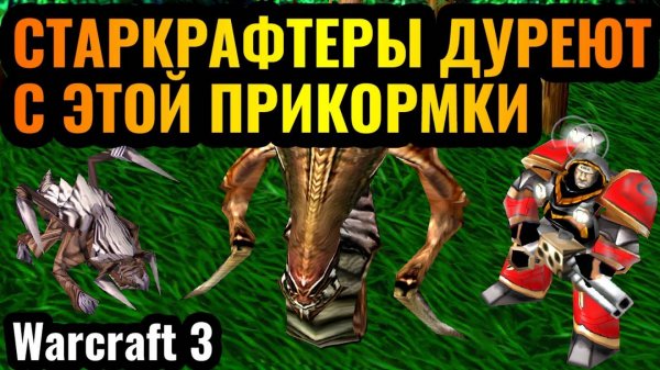 WARCRAFT 3 Refoged_ЭТА ДИЧЬ РАБОТАЕТ_ Starcraft стиль игры в Warcraft 3 Reforged