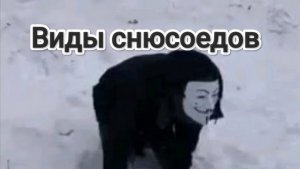 виды снюсоедов*это шутка*