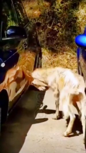 Добобался)))