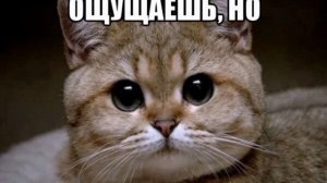 Для молодых🌷😁🌹Для влюблен