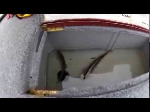 GatorTail GTR35 And SeaArk160