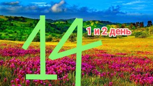 ЛЕТО 14 СЕРИЯ 1-2 ДЕНЬ