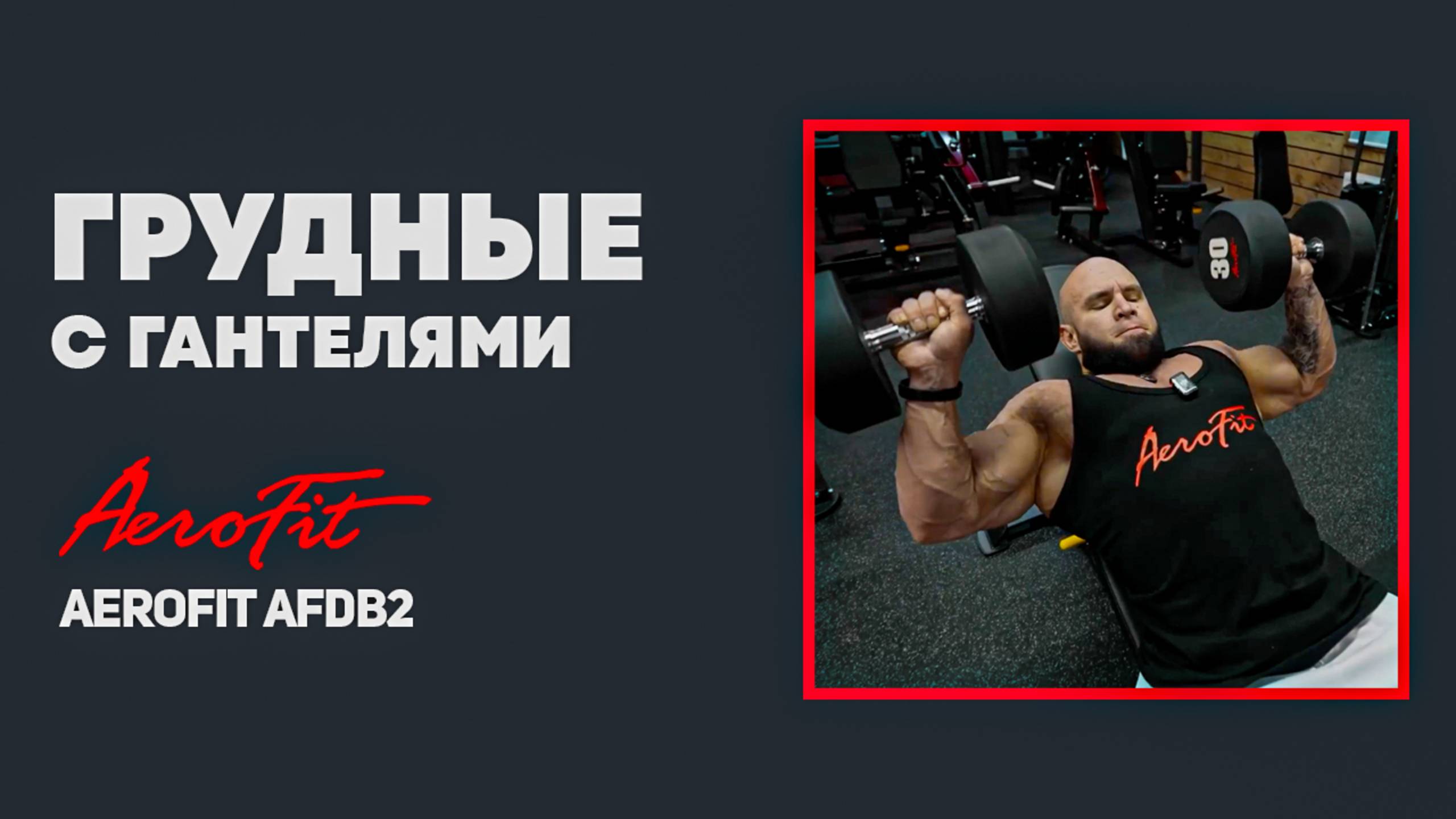 ЖИМ в НАКЛОНЕ с Гантелями Aerofit AFDB2 смотреть онлайн