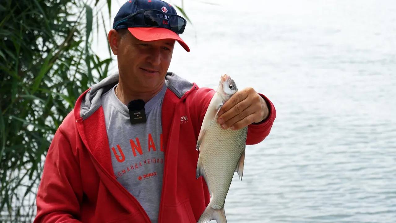 Ловим леща на реке Дон. Рыбалка на фидер смотреть онлайн