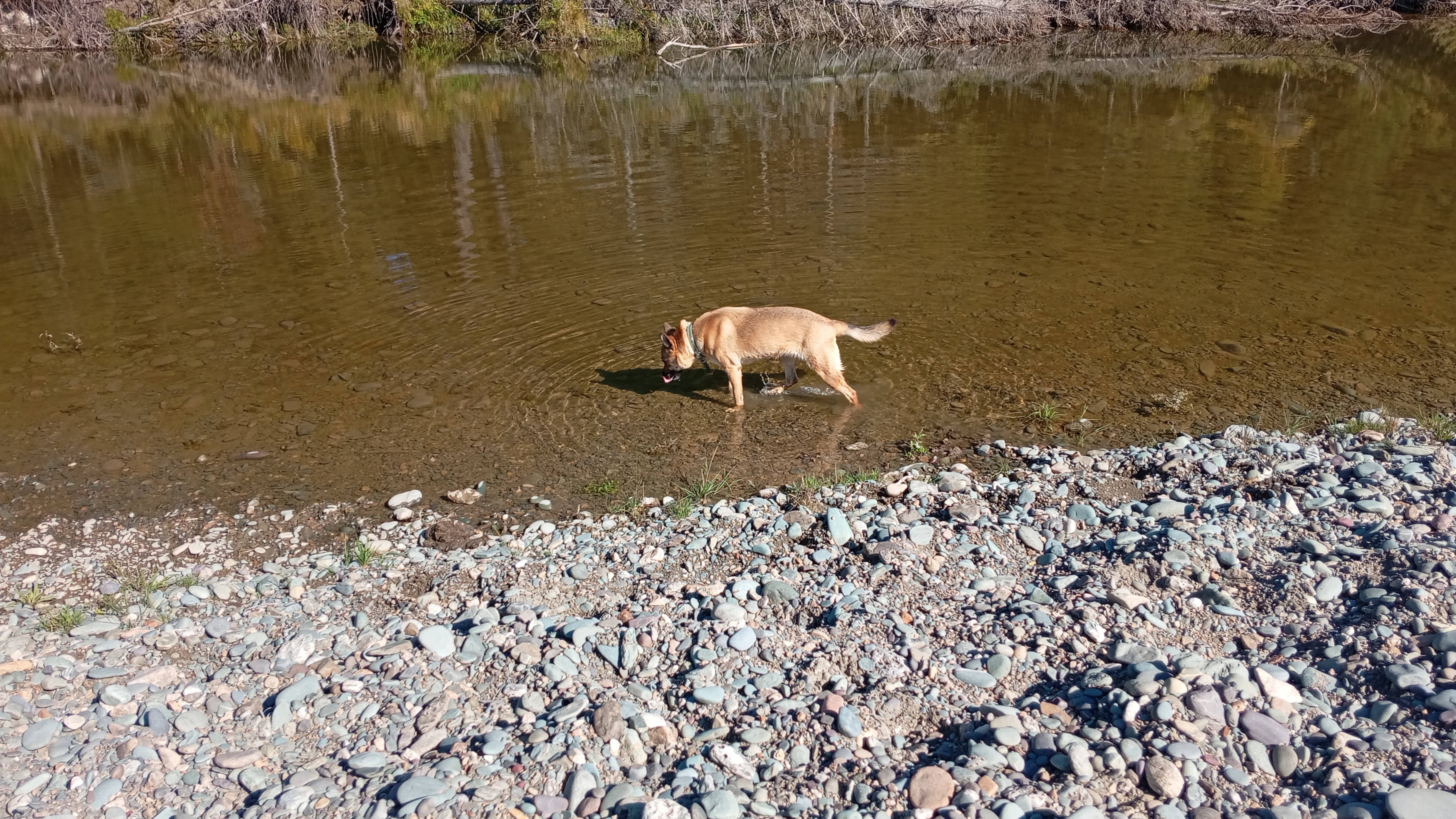 До свидания лето🙂 смотреть онлайн