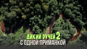 С 1 приманкой. Дикий ручей