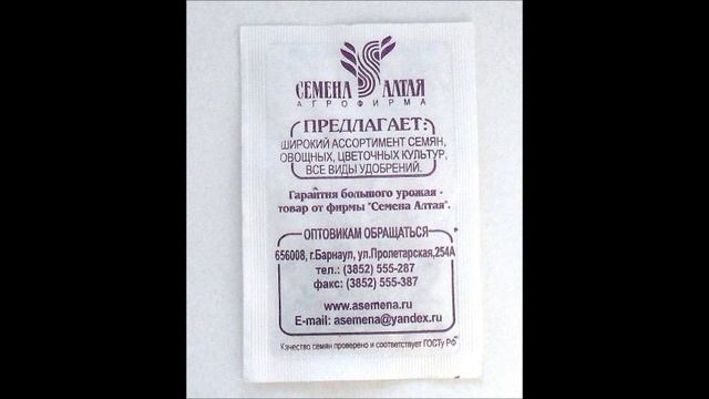 Свекла сорт ПАБЛО