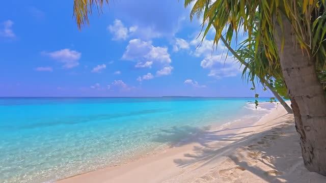 Мальдивы. Море. Солнце. Пляж. Наслаждайтесь..) смотреть онлайн