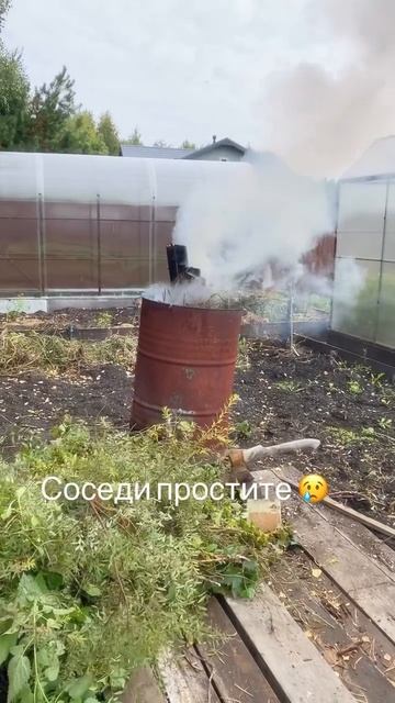 соседи простите смотреть онлайн