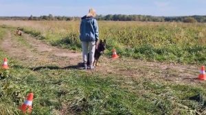 ХНК МУР Классик 2025-09-14