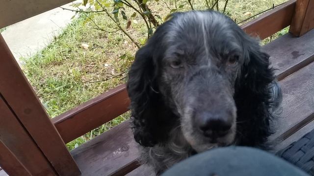 СОЧИ ГОРНОЕ ЛОО ВЕЧЕР 18.09.2025 смотреть онлайн