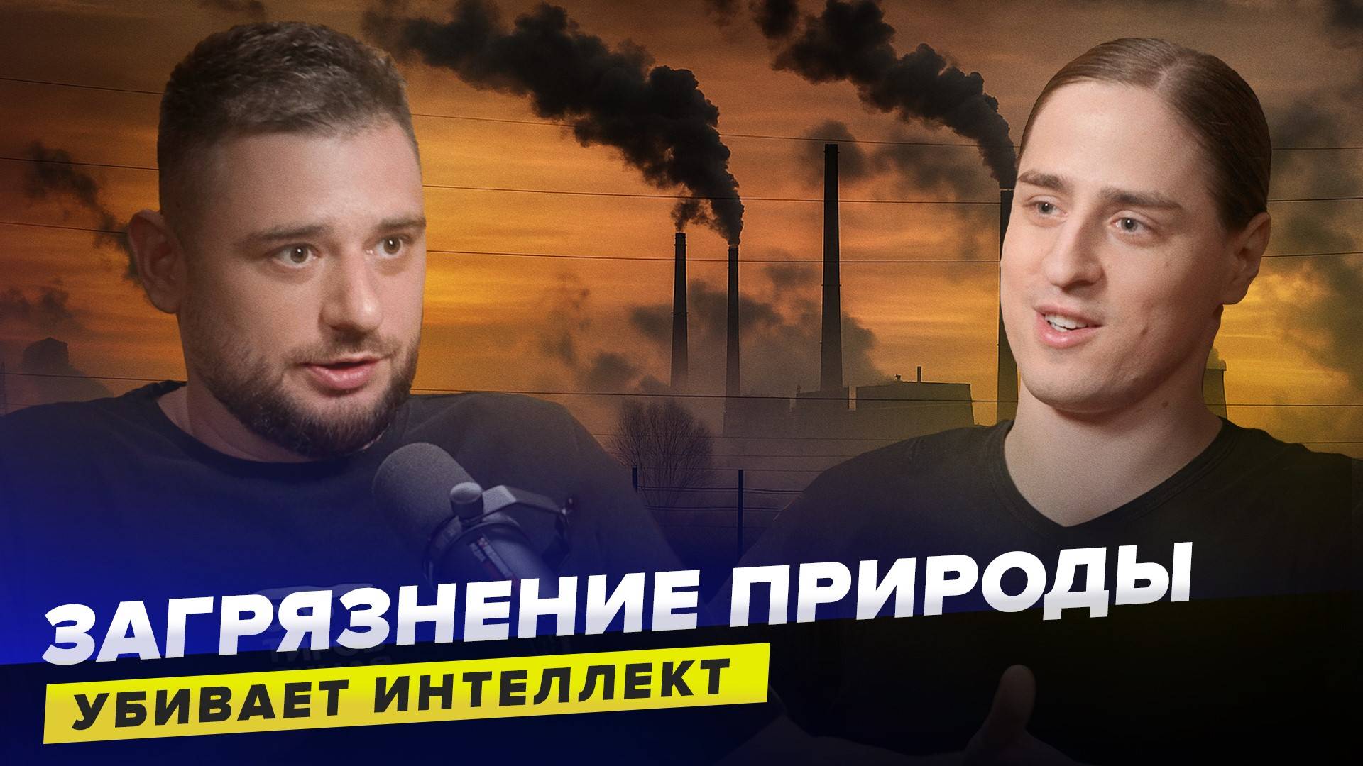 Как окружающая среда влияет на наш интеллект? | Нейробиолог Владимир Алипов | Сортировочная смотреть онлайн