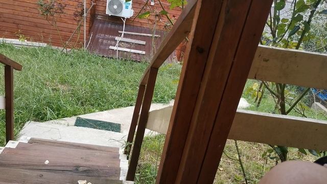 СОЧИ ГОРНОЕ ЛОО ДЕНЬ 18.09.2025 смотреть онлайн