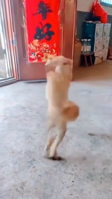 это реально? смотреть онлайн