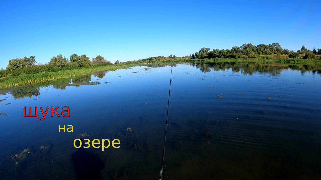 Рыбалка на щуку в конце августа. Щука бросается на приманки прямо из травы. Часть 2 смотреть онлайн