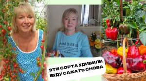 Дачные дела.Выбрала ЛУЧШИЕ СОРТА перца и томатов Урожай не успевали собирать Блошка сожрала ВСЕ