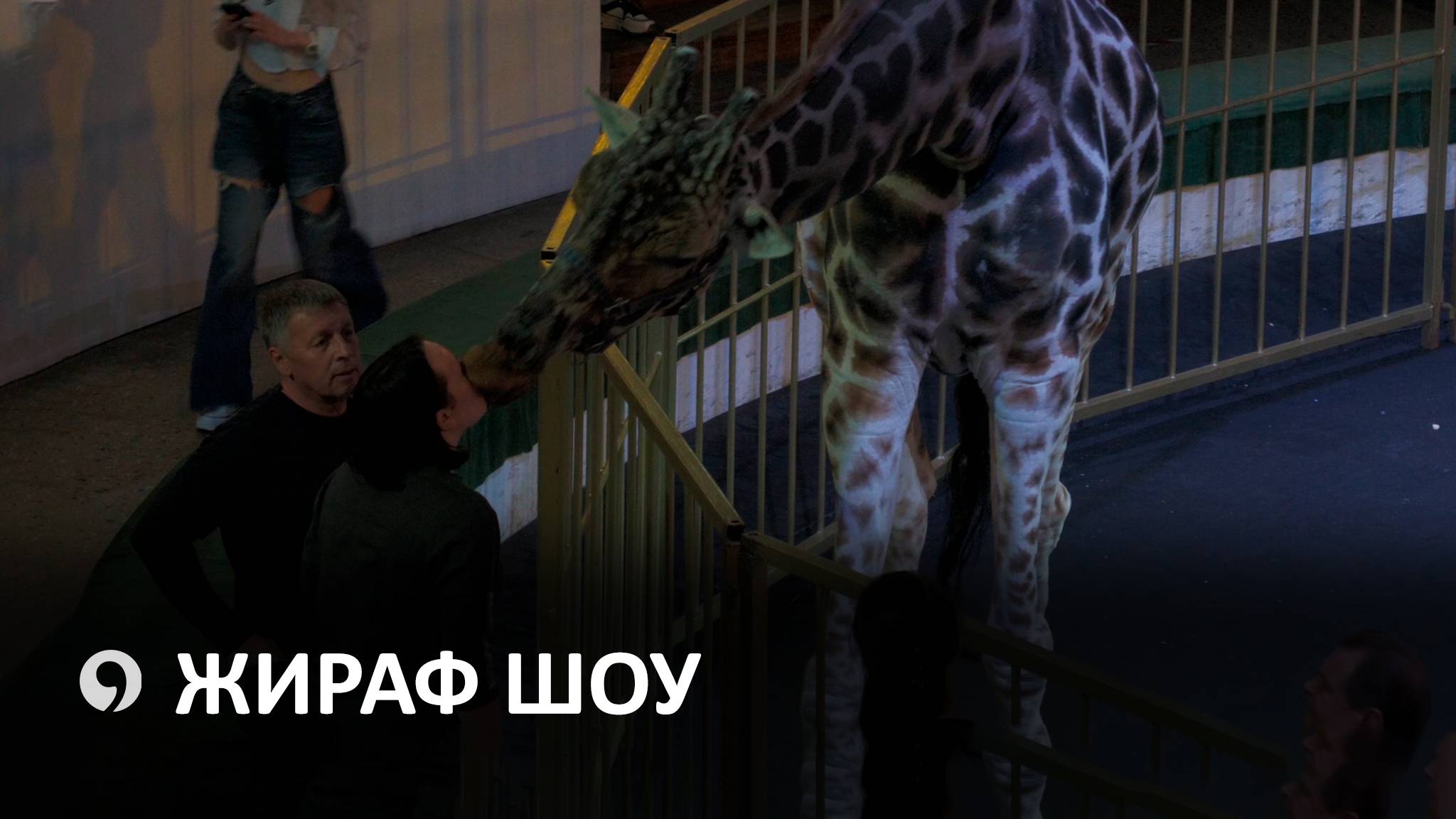 Где в Ставрополе может поцеловать жираф? смотреть онлайн