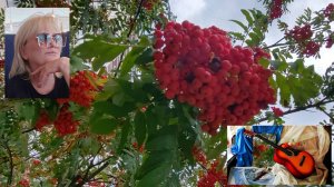 ПРЕМЬЕРА ПЕСНИ  "В чужих объятиях" на стихи "Бабье лето"   Валерия Д.