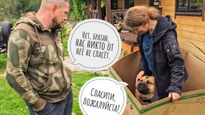 Новая морозилка свершилась! Пёс Кубик пойман в коробку! Сова Ёль сидит на жопоньке (это тоже важно)